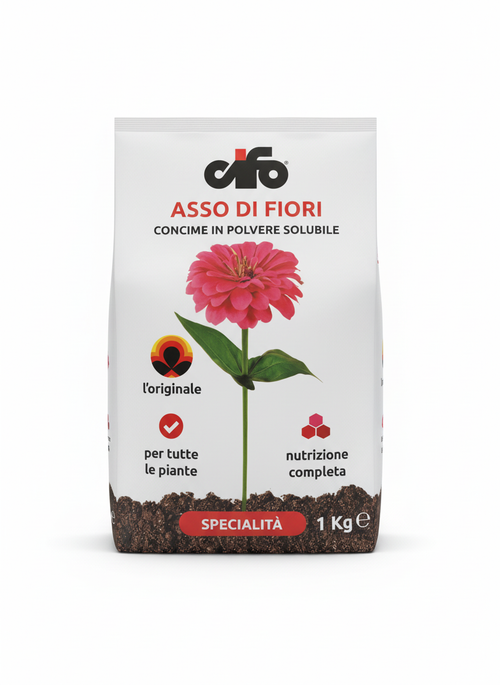 Asso di Fiori - Immagine Prodotto Professionale